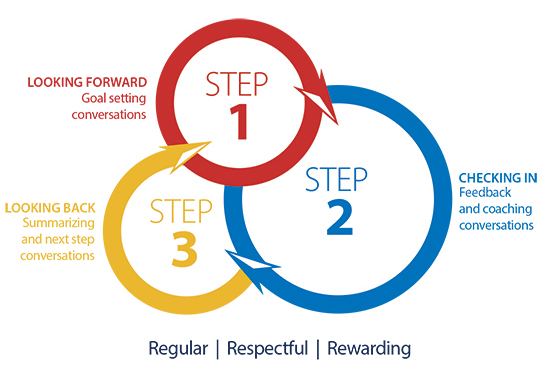 Performance Development Cycle